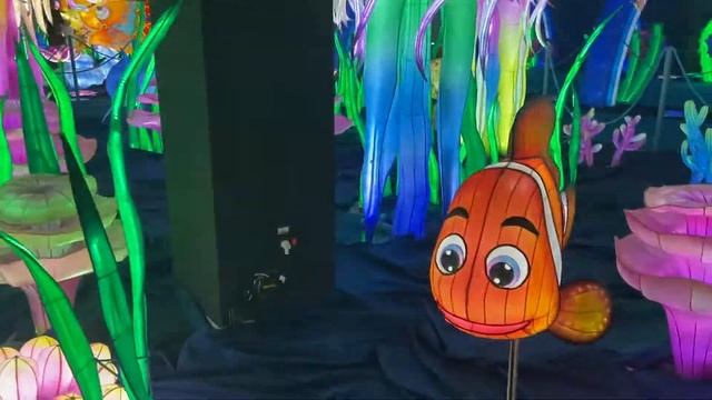Леля на первой в России ВЫСТАВКЕ СВЕТОВЫХ ФИГУР!!!!! смотреть онлайн