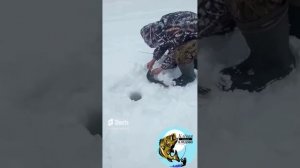 Клёвая рыбалка в Лёдово