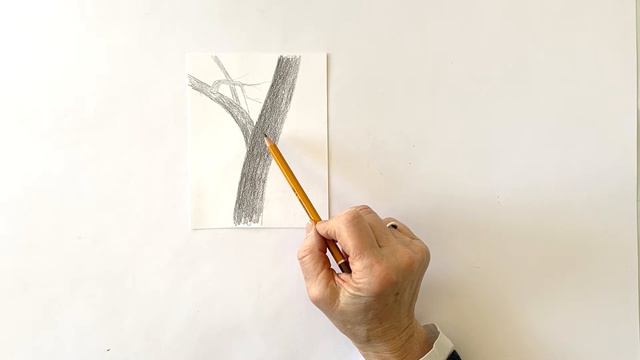 How to draw trees step by step. смотреть онлайн