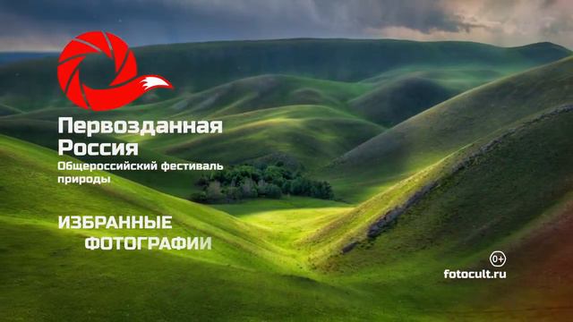 Открытие выставки Первозданная Россия смотреть онлайн