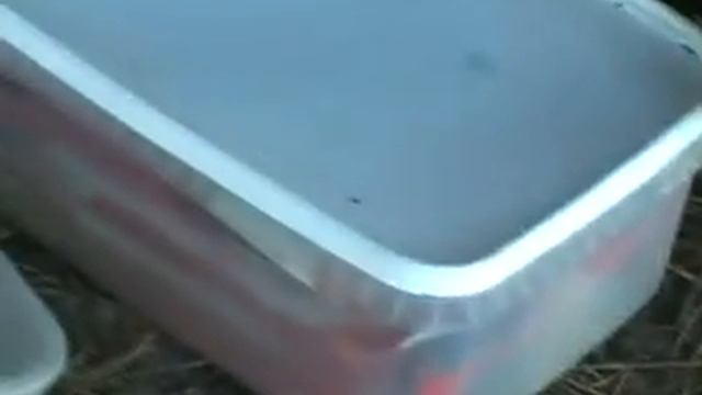 ока 2010 1ч смотреть онлайн