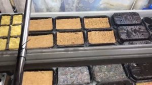 ГИДРОПОНИКА. СЕРИЯ 2. Обзор: агровата, кокосовый ковёр. Хранение семян. микрозелень на гидропонике