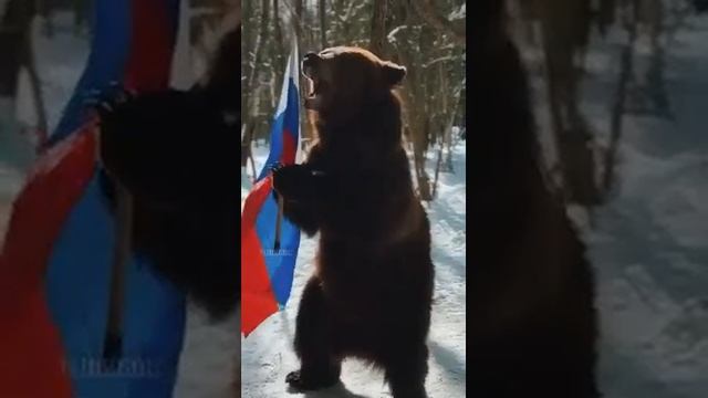 Гимн России смотреть онлайн