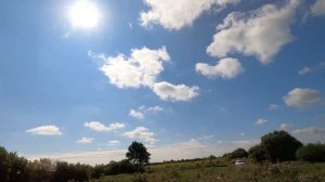 Вяхирь дуреет от дроби и падает камнем  Охота на вяхиря и рецепт приготовления