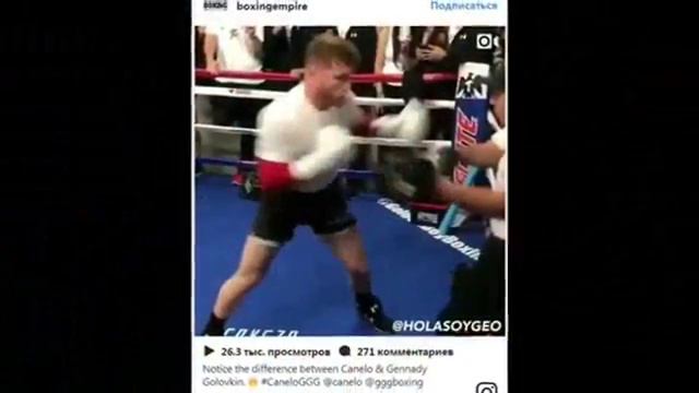 'Головкин и Канело вернут нам бокс' Йоэль Ромеро Сила Альвареса это скорость!! смотреть онлайн