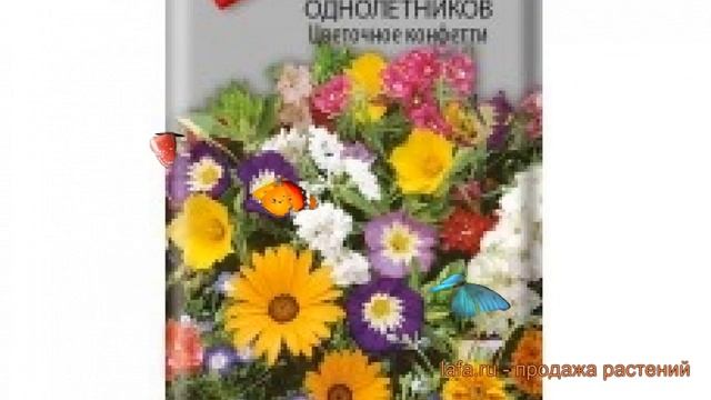 Смесь низкая Смесь низких однолетников Цветочное конфетти ? обзор: как сажать, семена смеси смотреть онлайн