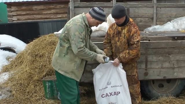 Революция в сельском хозяйстве.Продажа поросят. смотреть онлайн