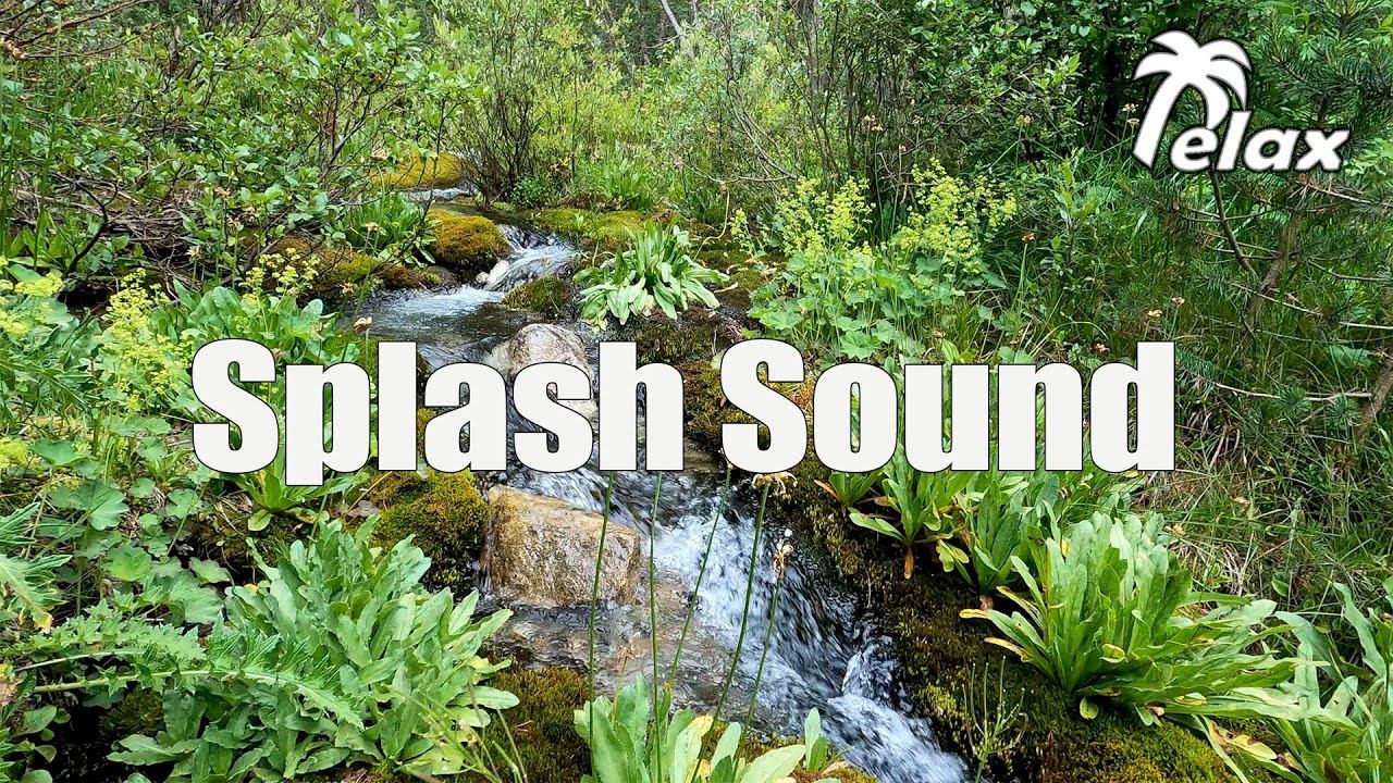 Splash of water, Forest greenery and Enchanting Birdsong смотреть онлайн