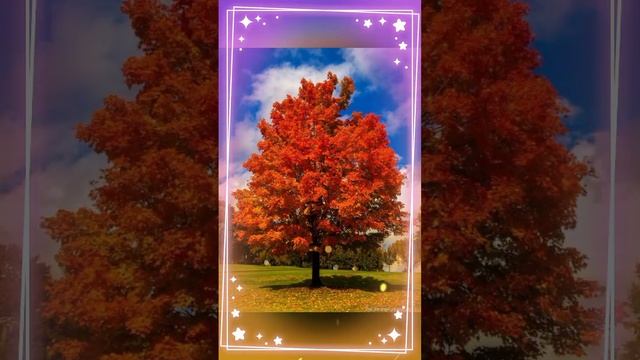 осенний бал маскарад природы смотреть онлайн