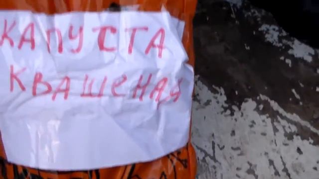 СЛОВО И ДЕЛО! "Русский Караван"6. Великий Новгород-Новороссии. смотреть онлайн