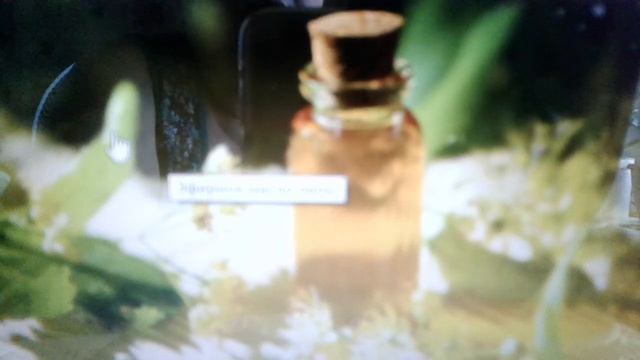 Масло липы:  полезные свойства и применение.