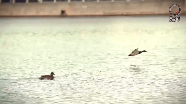 22_DEC смотреть онлайн