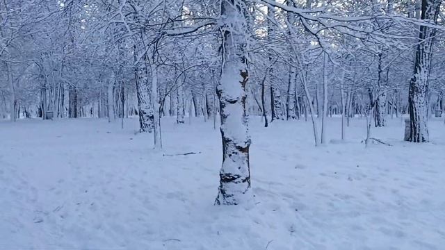Зимняя прогулка по парку культуры и отдыха им. Горького в Мелитополе 2020