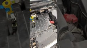 Место расположения номера двс и вин код, Nissan Murano 3.5 CVT 2011 год