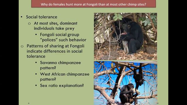 5th Annual Women in Science Conference Presentation with Dr. Jill Pruetz смотреть онлайн