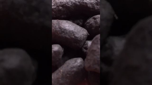 Что такое сапропель смотреть онлайн