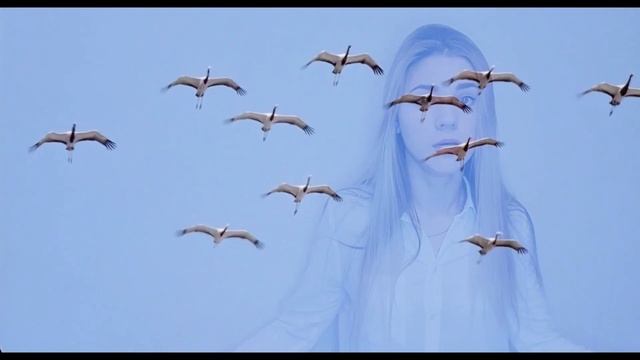 Марк Бернес - Журавли (Даша Копан кавер) смотреть онлайн