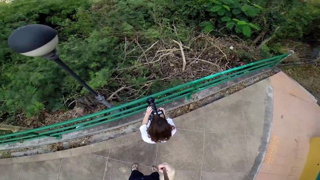 VLOG: Паттайя. Золотой Будда и обзорный холм или как мы разбогатели смотреть онлайн