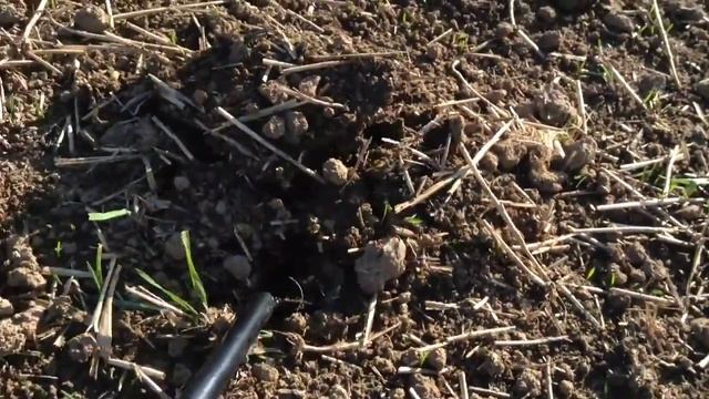 Detecting Bavaria: with Lance and Tesoro #3 смотреть онлайн