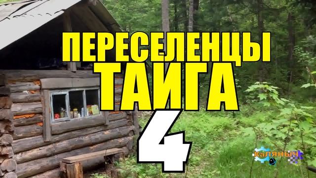 ПЕРЕСЕЛЕНЦЫ В ТАЙГЕ | СИБИРСКАЯ ЯЗВА (Anthrax) | СВАТОВСТВО ОБЫЧАИ | КАТОРГА - КАНДАЛЫ С ГРУЗОМ 4 смотреть онлайн