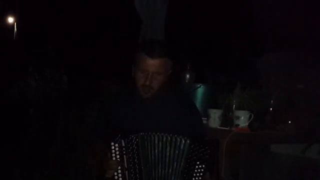 Гармонист Алтухов Дмитрий Владимирович Вечная память ( песня стена)