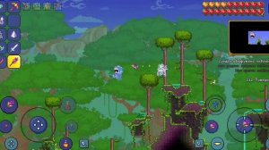Сид на браслет ветра (1.4.4.9) в Terrarie (2023)
