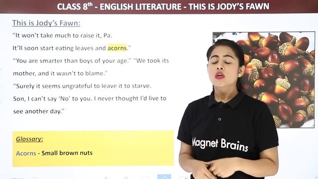 Class 8 English Chapter 6 | This is Jody’s Fawn Explanation (Part 1) | Class 8 English Literature