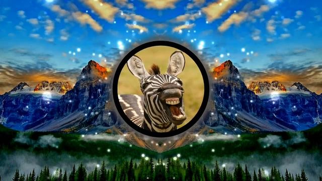 Akmal' — Приснись [Speed Up] смотреть онлайн