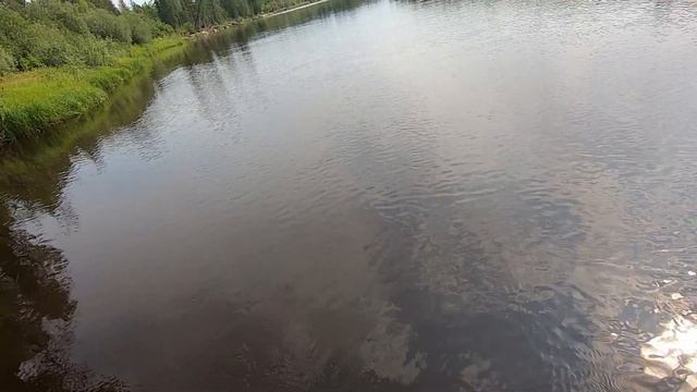 Дальний кордон, нарвался на язей, буйство стихии, щука на рожне. смотреть онлайн