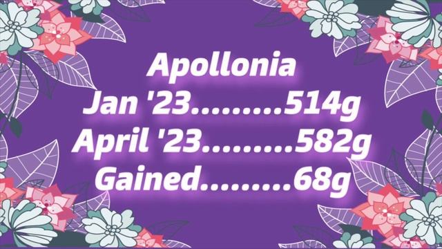 Snake Health Check |Weighing My Female Snakes| ~Ellie Snake Lady~ смотреть онлайн