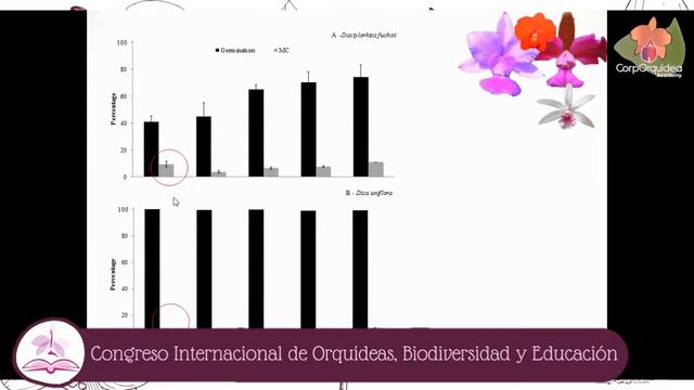 Conservación de Polineas de orquídeas | Nelson Machado | CIOBE2020 смотреть онлайн
