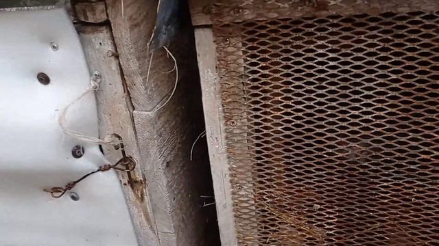 Утренние хлопоты. Изменения в хозяйстве. смотреть онлайн