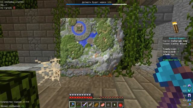 Игры на VimeWorld #1 Победа и порожение