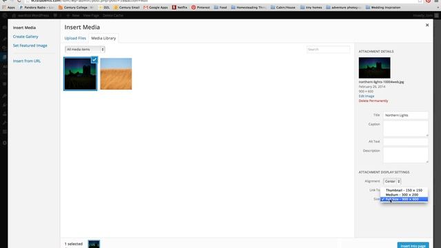 Wordpress Part 4 - Page and post content creation смотреть онлайн