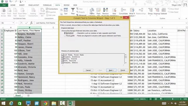Data Cleaning & Formatting - Module 3 (Text to Columns Function) смотреть онлайн