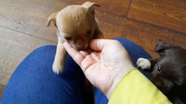 22 марта 2022 г. смотреть онлайн