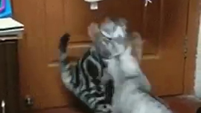 когда муж всю ночь где-то шлялся смотреть онлайн