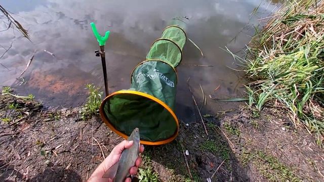 Динская. Клевое место смотреть онлайн