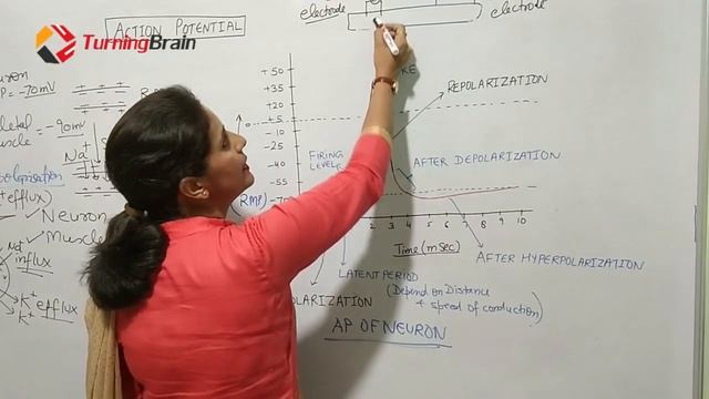 ACTION POTENTIAL смотреть онлайн