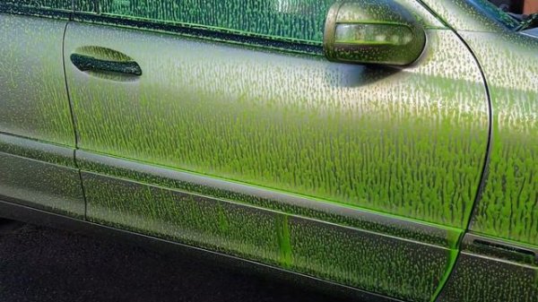 •TEST•  KWAZAR VENUS FOAMER  - Ročni penomat