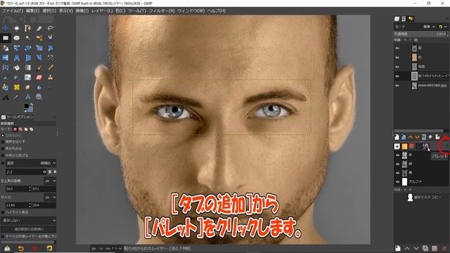 GIMP～塗り絵感覚でモノクロ画像をカラー化する～ смотреть онлайн