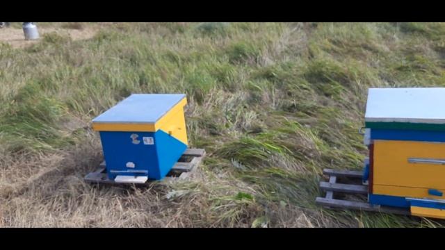 Нуклеус прошел испытание