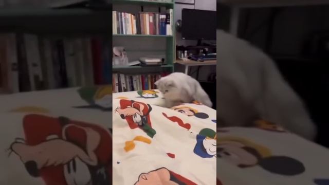 Охотник смотреть онлайн