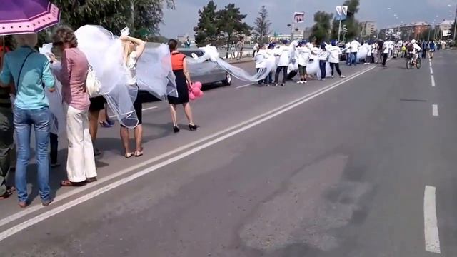 Омск, Рекорд Гиннеса, Самая длинная фата невесты 3 смотреть онлайн