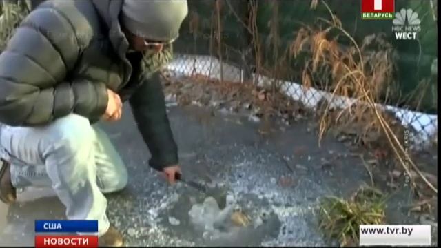 В Северной Каролине из-за небывалых морозов несколько аллигаторов вмерзли в лед смотреть онлайн