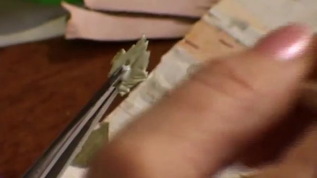 Мастер-класс Раисы Криницкой по флористике: картины из бересты, часть 1 смотреть онлайн