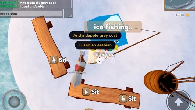 How To Bre3d A Bay/grey Chimera Coat(WILD HORSE ISLANDS |ROBLOX) смотреть онлайн
