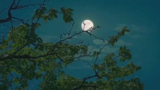 УСПОКАИВАЮЩЕЕ ЧТЕНИЕ КОРАНА СУРА АЛЬ ИМРАН ОМАР ХИШАМ смотреть онлайн