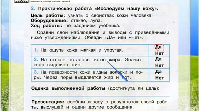 Задание 2 Надёжная защита организма - Окружающий мир 3 класс (Плешаков А.А.) 1 часть смотреть онлайн