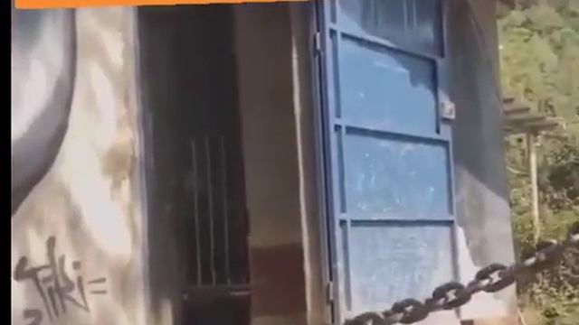 Осторожно. Злая собака смотреть онлайн